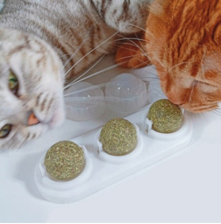 Catnip Para Gatos x 3